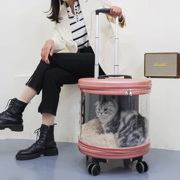 Pisica Transport De Animale De Companie Cărucior Caz Câine De Transport De Călătorie Sac Transparent De Vizualizare Larg Geantă De Mână Excursie Portabil Moda Rucsac Bubble Box