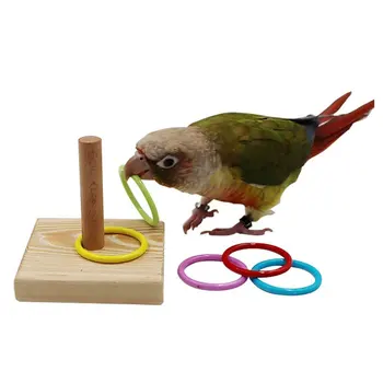 Papagal de formare educațională jucarie inel papagal de jucarie pasare provizii de formare educațională inel de pasăre jucarii