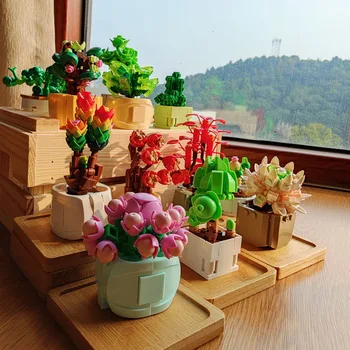 Cutia misterelor Blocuri de Flori Granular Cărnoase Ghiveci Cireș plante suculente Asamblate Ornamente Jucarii Educative Copil