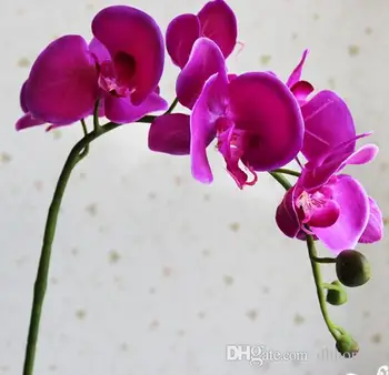 Display Molie floare flori de Orhidee fluture orhidee, flori artificiale pentru acasă decorare nunta tot saler transport gratuit