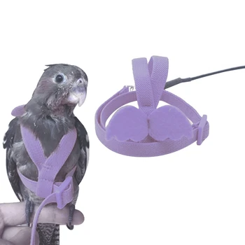 Purple Parrot Pasăre Ham Lesa Set Anti-Muște Cablajului De Formare Coarda Cu Aripa Pentru Papagali Mici Și Mijlocii Păsări Papagal Perus