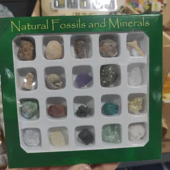 o cutie Aleatoare Pietre Naturale Cutie Fossiles Prime Minerale, Cristale Agate Specimen Pentru Educație Acasă Decoruri
