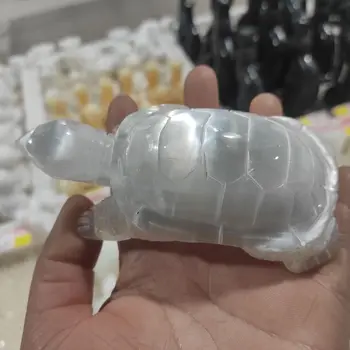1buc alb Natural selenit de broască țestoasă sculpturi în gips cristal Figurina broasca testoasa