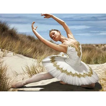Personalizate Femeie White Swan Balet Tutu Rochii,Uimitoare Alb & Aur Prefessional Costum De Scena De Balet Tutu Concurs