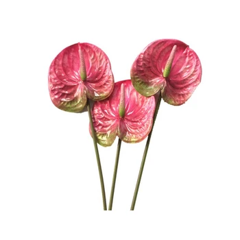 3 Buc de 27Inch Artificiale Anthurium Buchet de Flori Și Frunze Verzi de Nunta de Decorare (Roz)